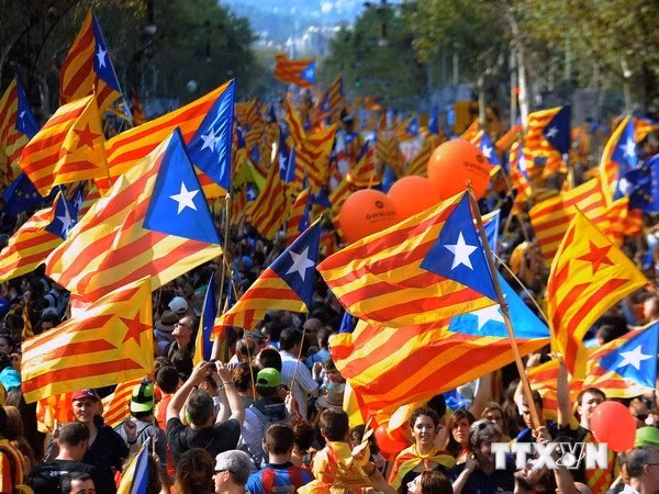 Tòa án Tây Ban Nha đình chỉ trưng cầu ý dân về độc lập ở Catalonia ảnh 1