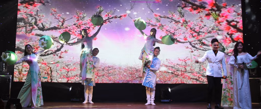 “Giai điệu quê hương” thu hút đông đảo cộng đồng người Việt tại Séc ảnh 2