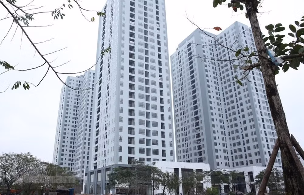 Nhiều điểm nghẽn cần tháo gỡ cho các dự án nhà ở xã hội tại TP.HCM ảnh 1