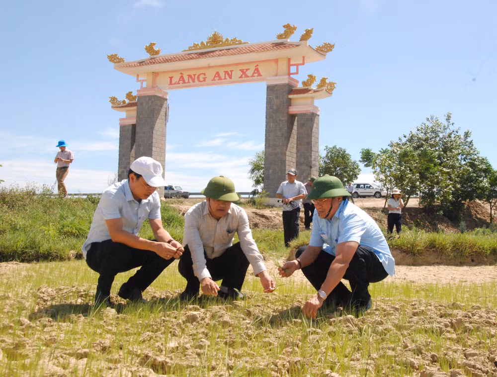 Quảng Trị triển khai các phương án chống hạn khẩn cấp ảnh 2