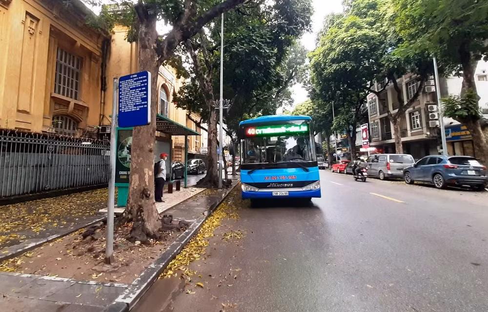 Doanh thu bán vé xe buýt giảm mạnh trong quý 1/2022 do dịch COVID-19 ảnh 1