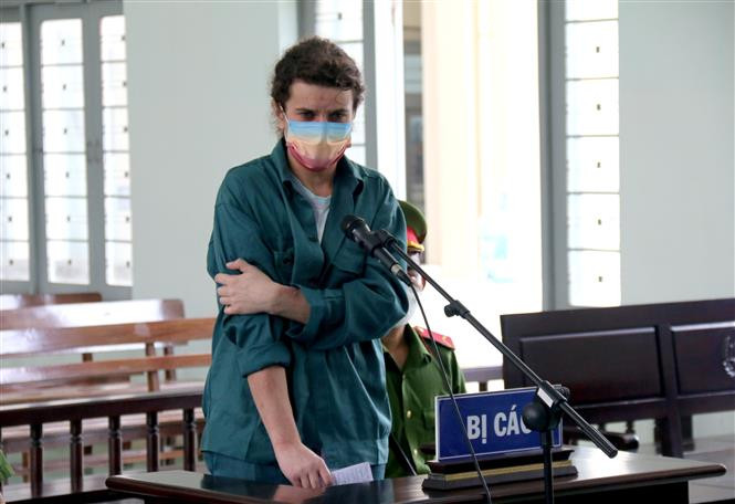 Bình Thuận: Phạt tù đối tượng người nước ngoài trồng, tàng trữ cần sa ảnh 1