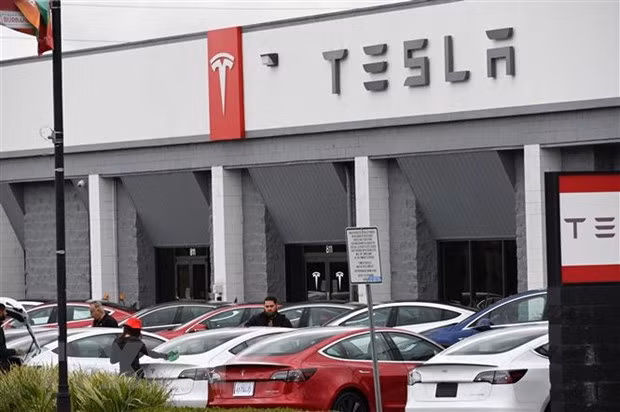Tesla tiếp bước Subaru khi sử dụng camera trong hệ thống tự lái ảnh 1