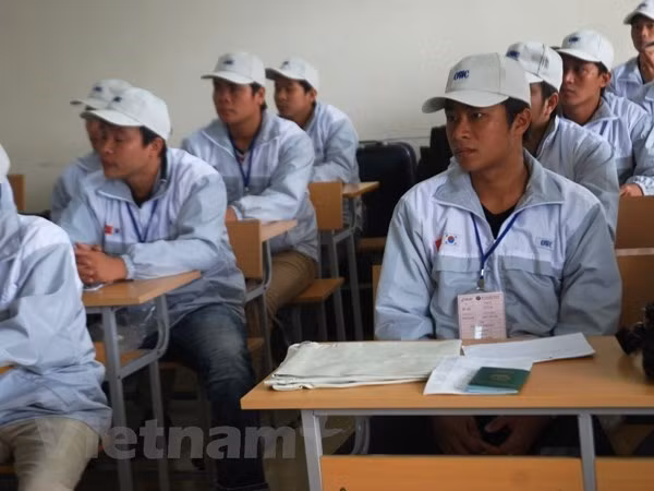 Tạm dừng tuyển chọn lao động đi Hàn Quốc với 10 huyện, thị xã ảnh 1