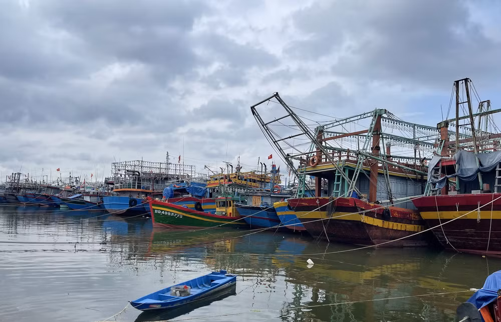Thủ tướng chỉ đạo tập trung ứng phó với cơn bão đầu tiên của năm 2023 ảnh 1