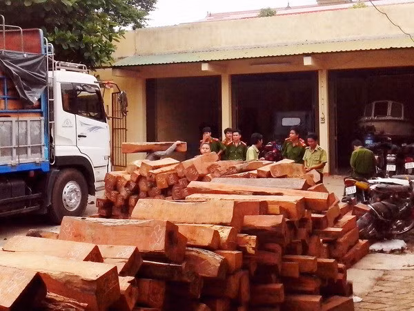 Bắt quả tang vụ vận chuyển trái phép gỗ quý hiếm ở Quảng Nam ảnh 1