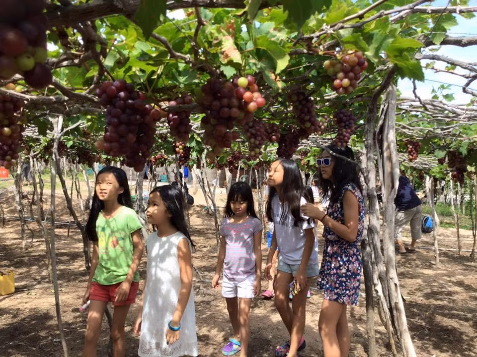 Điểm đến du lịch Hè: Những khu vui chơi giải trí em nhỏ nào cũng mê ảnh 3