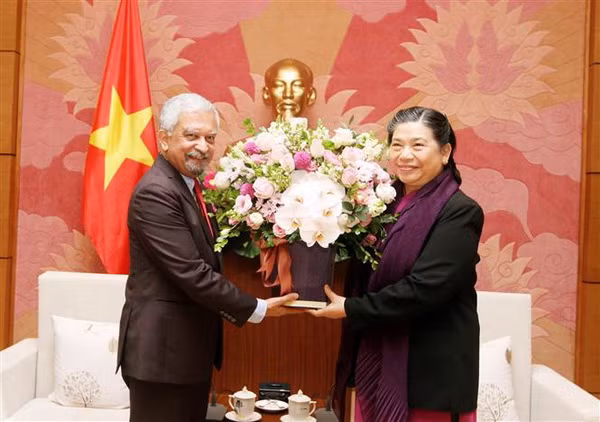 Việt Nam sẽ là một thành viên có trách nhiệm của Liên hợp quốc ảnh 1