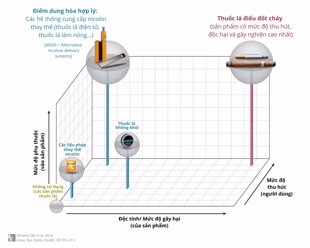 Năm sự thật người hút thuốc lá lâu năm chưa chắc đã biết ảnh 2