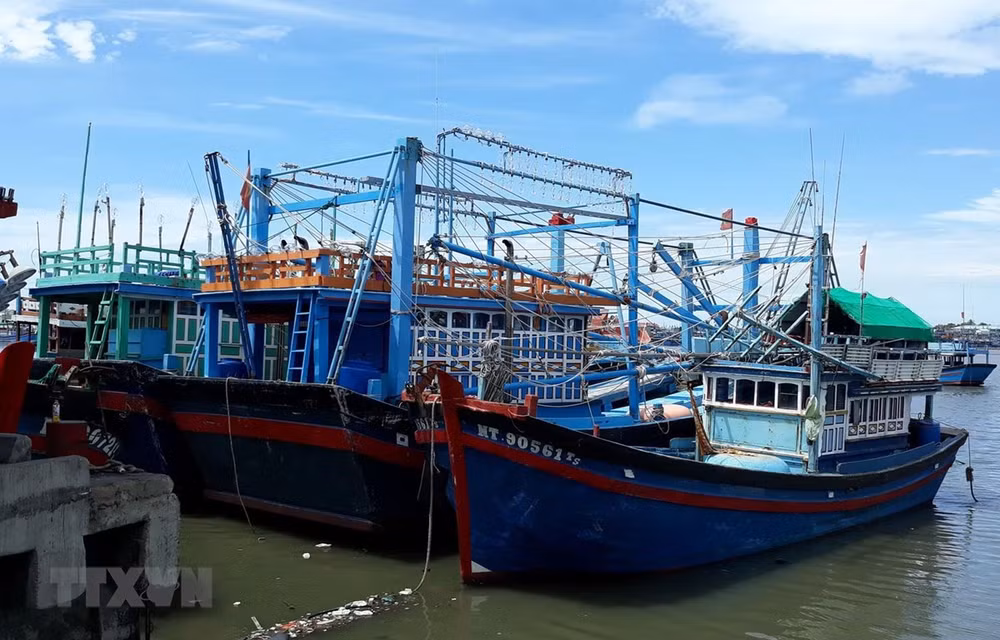 Ngư dân không trả được nợ vay đóng tàu cá, nợ xấu có xu hướng gia tăng ảnh 1