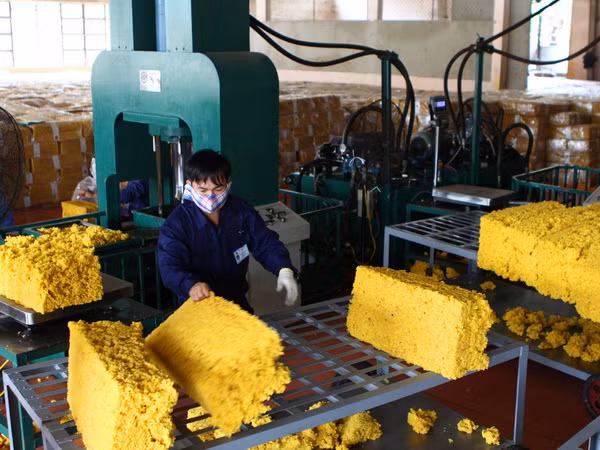 Việt Nam đẩy mạnh hợp tác với Hội đồng Cao su quốc tế ba bên ảnh 1