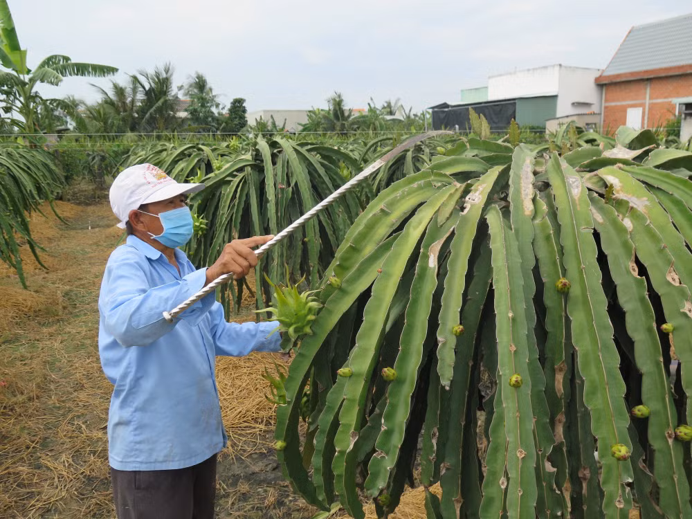 “Xanh hóa” tăng trưởng: Sản xuất xanh để vươn ra thị trường thế giới ảnh 2