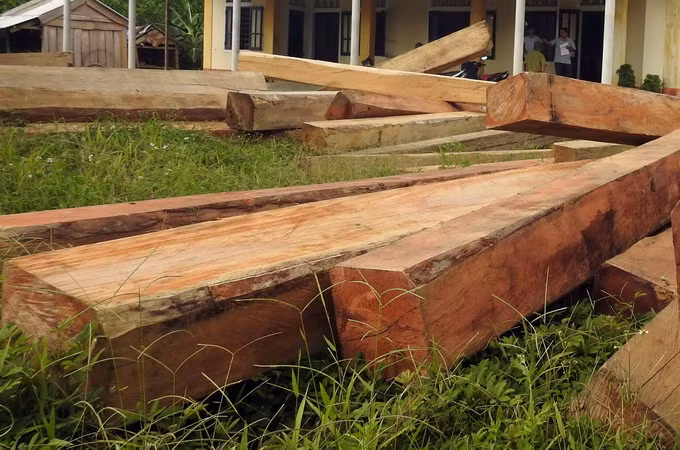 Công an Kon Tum điều tra vụ án hơn 24m3 gỗ vô chủ ở Đăk Glei ảnh 1