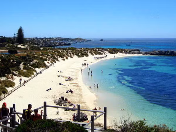 Australia đặt hàng loạt ghế băng làm từ túi nhựa tái chế tại Rottnest ảnh 1