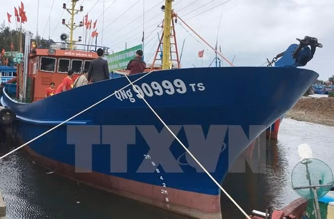 Bất cập khi triển khai Nghị định 67: Nhiều con tàu nằm bờ ảnh 1