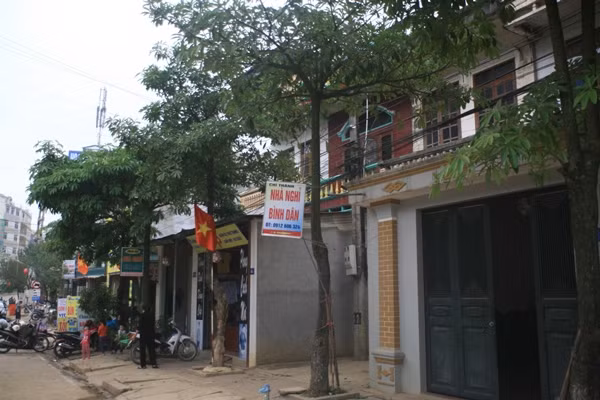 Hà Giang: "Nở rộ" dịch vụ ăn theo mùa hoa tam giác mạch ảnh 2