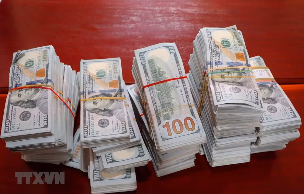 An Giang: Thu giữ 470.000 USD do đối tượng nghi buôn lậu bỏ lại ảnh 1