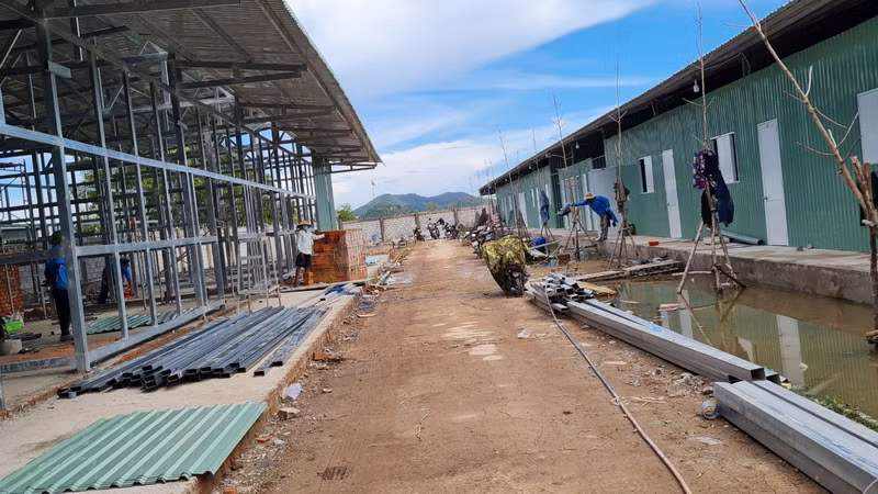 Kiên Giang thành lập bệnh viện dã chiến quy mô 300 giường ảnh 1