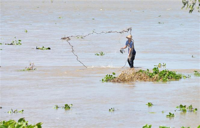 Mưa Trái Mùa Tại TP.HCM: Nguy Cơ Bệnh Tật Đối Với Trẻ Em