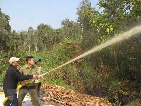 Một nửa rừng tràm U Minh Hạ đang ở mức báo động cháy cao nhất ảnh 1