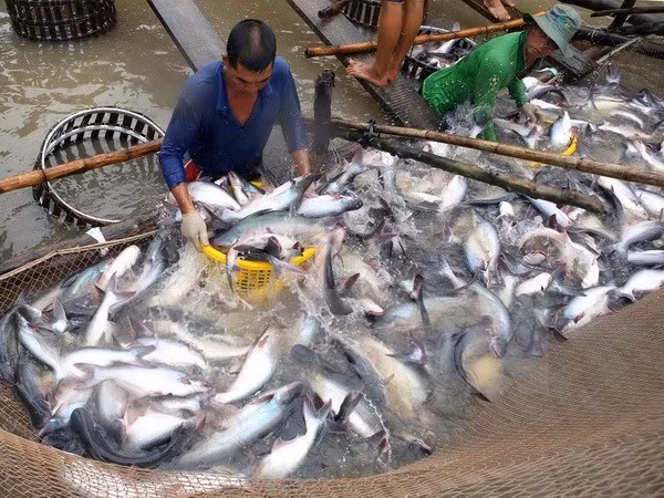 Sự kiện trong nước 12-18/12: Không để người dân vùng lũ bị đói rét ảnh 6