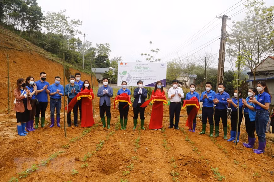 Tuyên Quang: Đoàn Thanh niên TTXVN trồng cây xanh tại xã Trung Yên ảnh 1