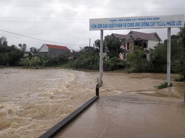 Hỗ trợ khắc phục thiệt hại mưa lũ 2016, phòng ngừa các năm kế tiếp ảnh 1