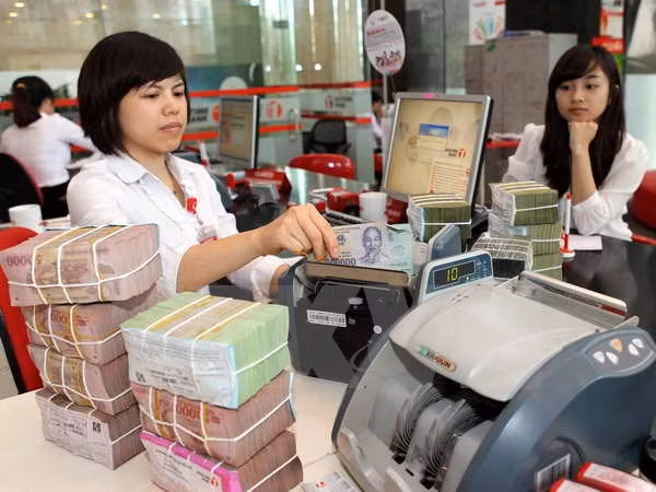 Thủ tướng Chính phủ giao kế hoạch đầu tư vốn cho hai Bộ ảnh 1