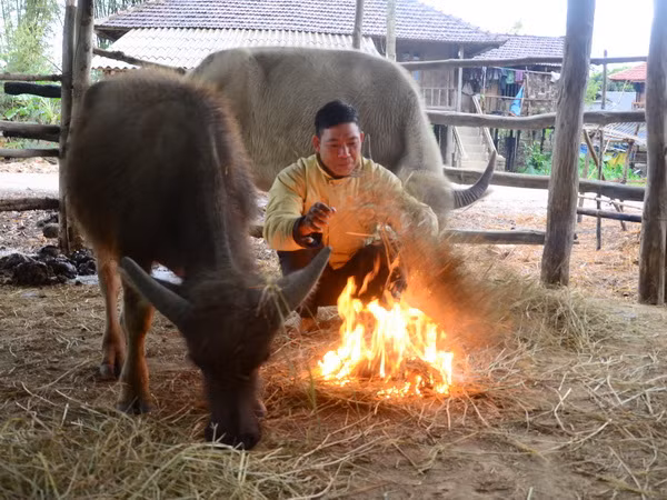 Không khí lạnh ảnh hưởng đến Bắc Bộ, miền Trung nguy cơ ngập sâu ảnh 1