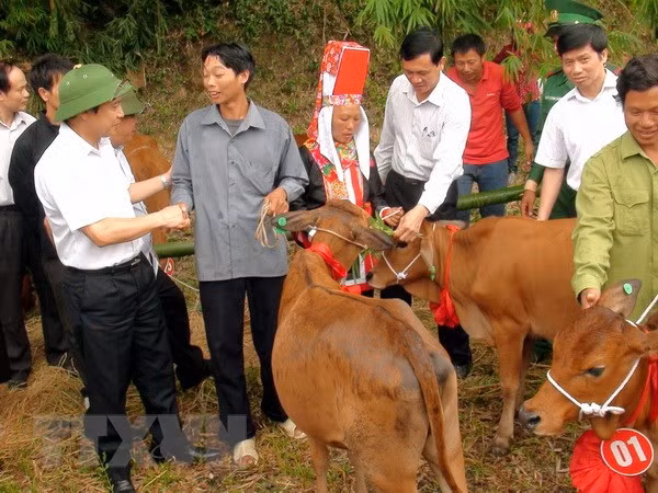 Giảm nghèo: Không hô khẩu hiệu, hướng tới sự bền vững, thiết thực ảnh 2