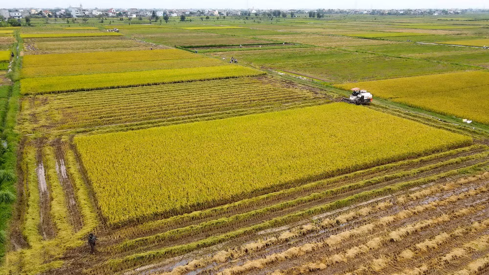 vnp_thai binh chinh sach xa hoi1.jpg