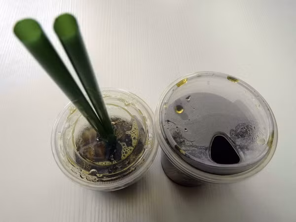 Tập đoàn Starbucks nói "không" với ống hút nhựa từ năm 2020 ảnh 1