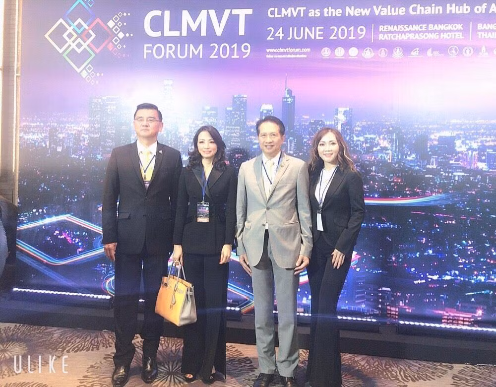 Đỗ Thị Thảo: Từ Hoa hậu đến khách mời đặc biệt của Diễn đàn CLMVT 2019 ảnh 6