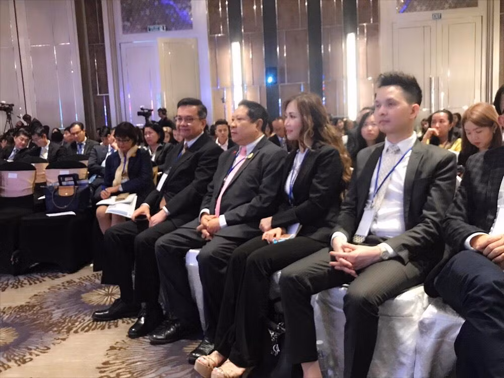 Đỗ Thị Thảo: Từ Hoa hậu đến khách mời đặc biệt của Diễn đàn CLMVT 2019 ảnh 1