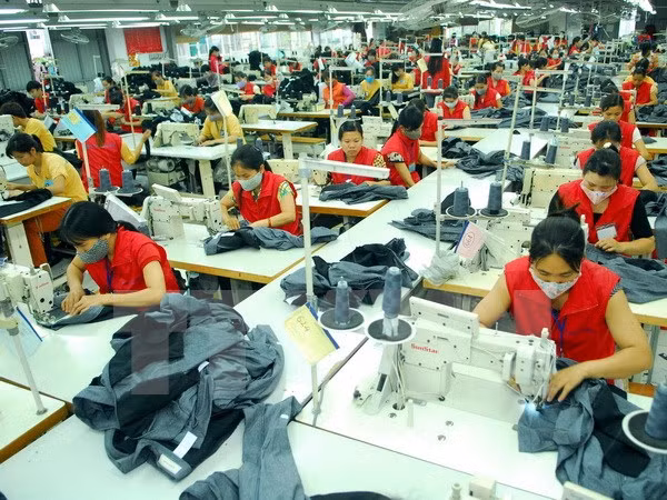 Tổng điều tra, phác họa "bức tranh" của từng ngành kinh tế ảnh 1