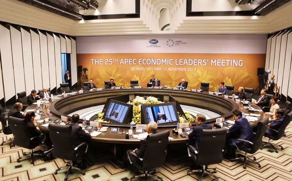 APEC 2017: Báo chí Arab đánh giá tích cực vai trò chủ nhà của Việt Nam ảnh 1