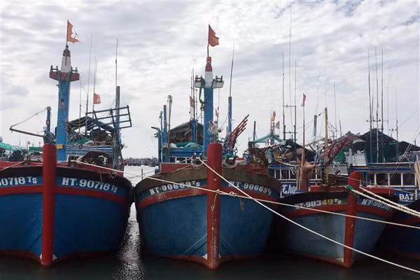 Theo dõi chặt chẽ diễn biến áp thấp nhiệt đới để chủ động ứng phó ảnh 1