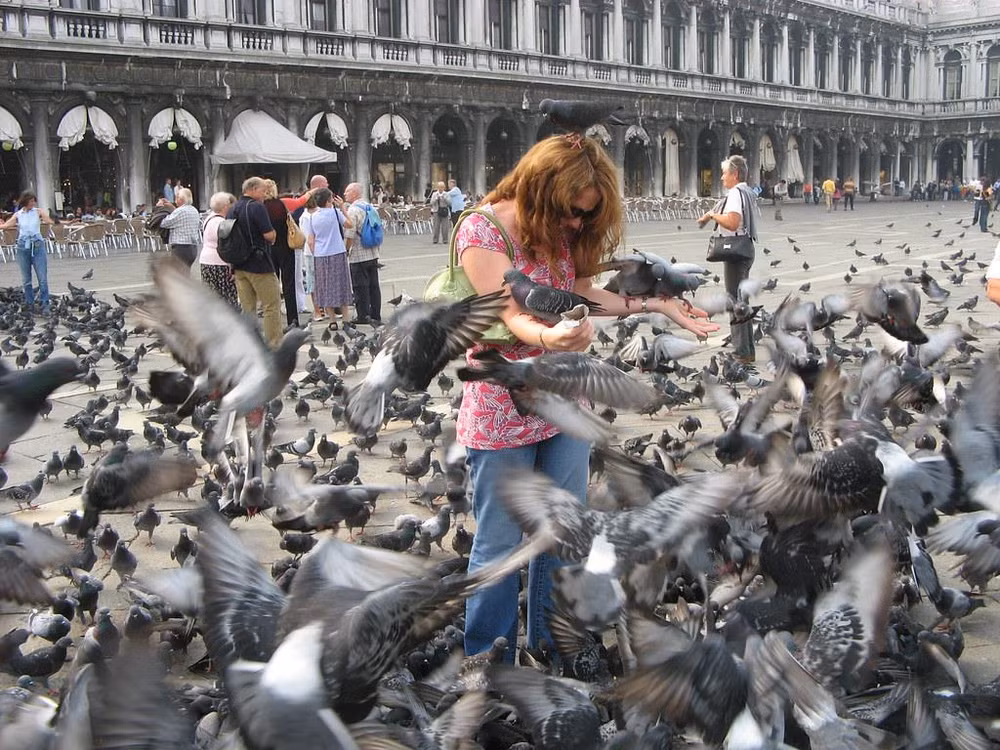 Danh sách những cấm đoán lạ lùng tại thành phố Venice của Italy ảnh 2