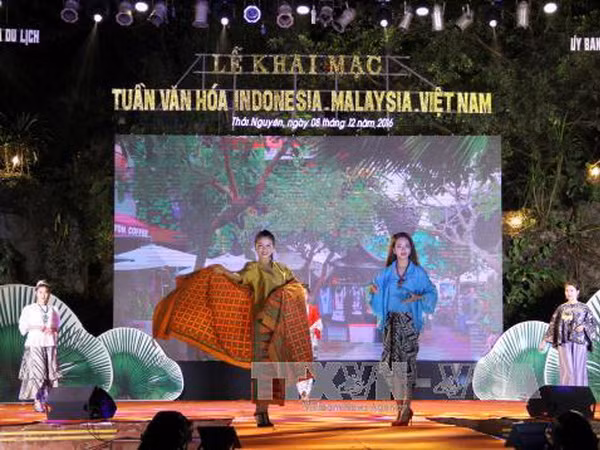 Tuần văn hóa Malaysia - Indonesia -Việt Nam: Hội tụ sắc màu ảnh 2