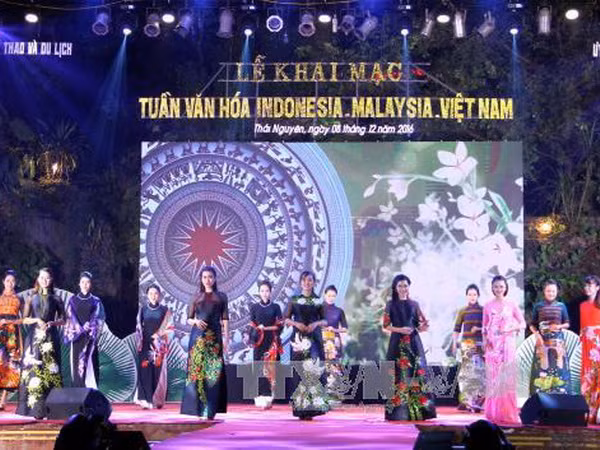 Tuần văn hóa Malaysia - Indonesia -Việt Nam: Hội tụ sắc màu ảnh 1