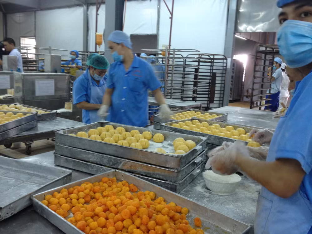 Bình quân mỗi tháng có 10.000 doanh nghiệp rút lui khỏi thị trường ảnh 1