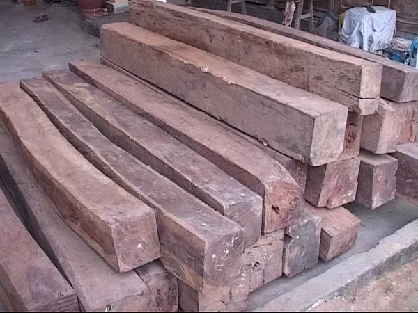 Quảng Nam: Xử lý nghiêm đối tượng vận chuyển lâm sản trái phép ảnh 1
