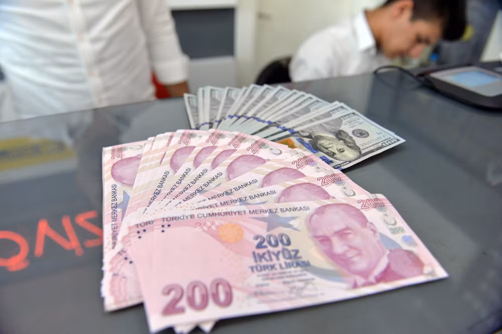 Thổ Nhĩ Kỳ sẽ vượt qua khủng hoảng tiền tệ, không cần IMF hỗ trợ ảnh 1