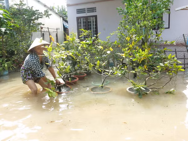 Mưa lan rộng, triều cường phía Nam đạt đỉnh sẽ gây ngập úng ảnh 1