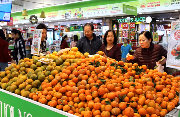 Hội chợ AgroViet 2020: Giới thiệu các nông sản tiêu biểu của Hà Giang ảnh 1