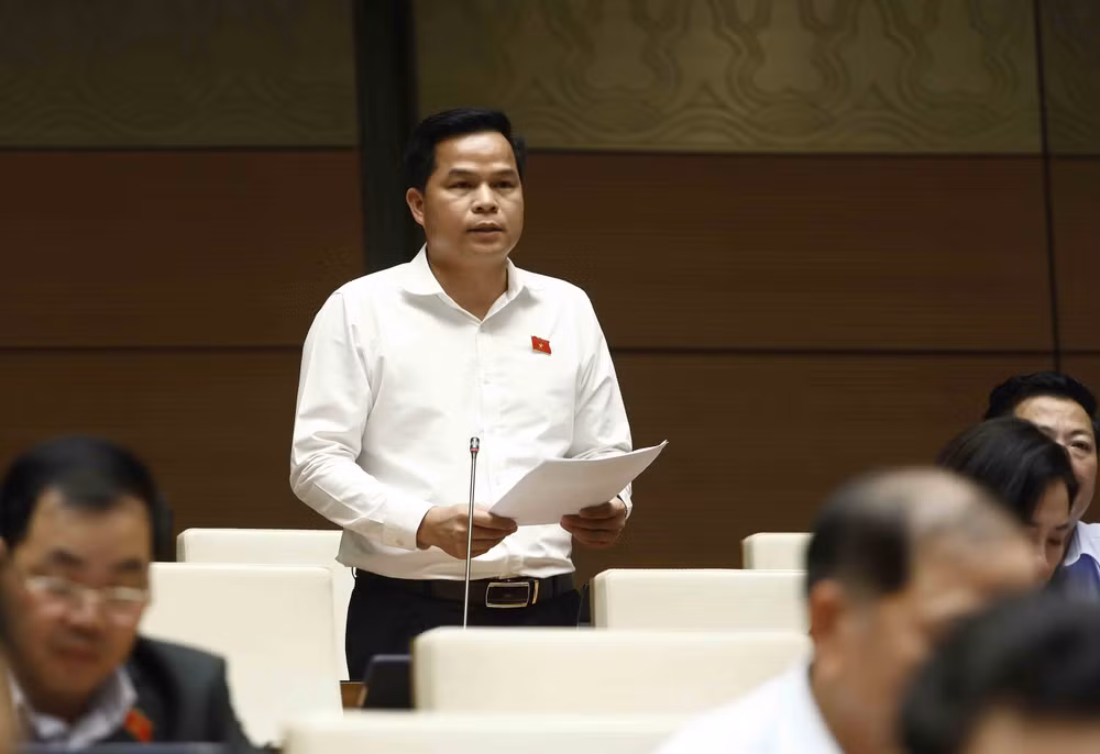 Đại biểu Quốc hội nêu giải pháp để phòng chống bạo lực gia đình ảnh 2
