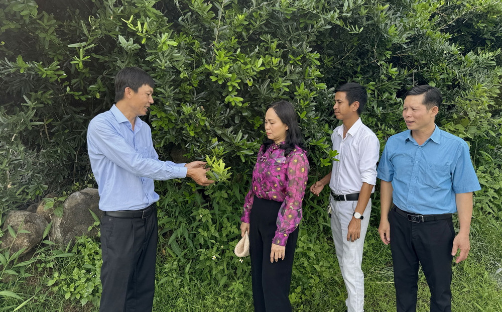 new88 - Khám Phá Bí Ẩn Đằng Sau Giấc Mơ Phản Chiếu Sự Thanh Khiết với Tự Do