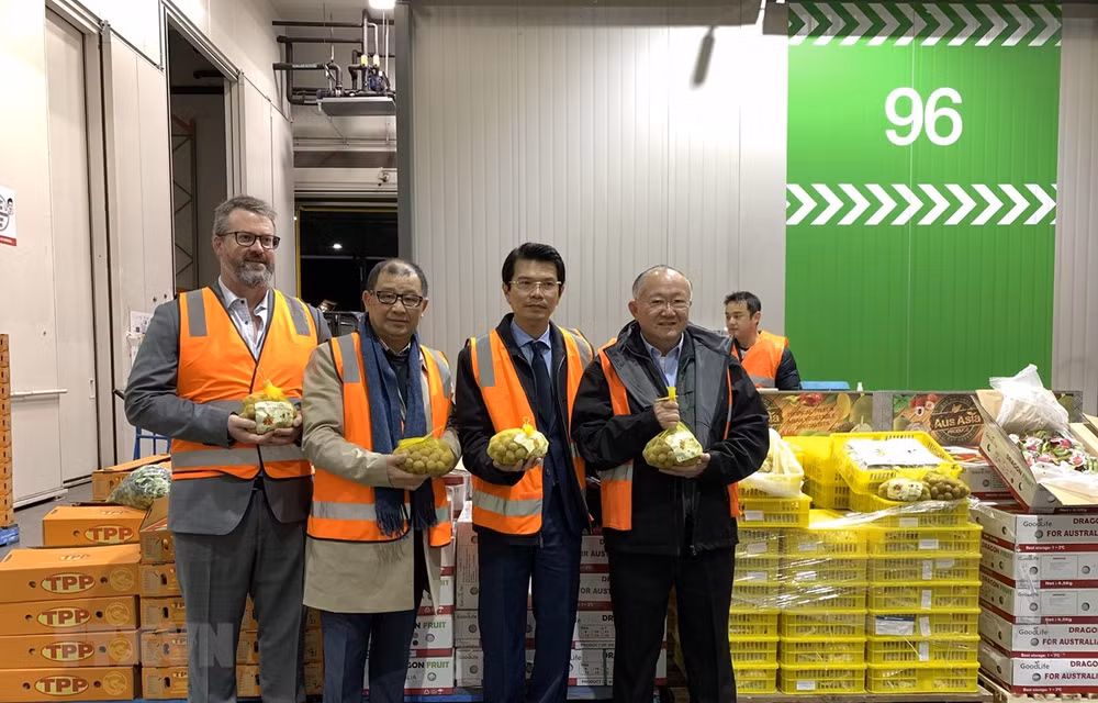 Trái cây Việt vào thị trường Australia: Cửa đã mở nhưng không dễ đi... ảnh 2
