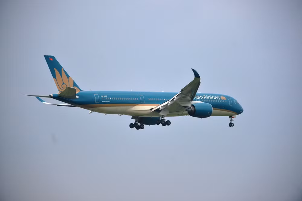 Nếu không được ‘bơm vốn,’ tháng 8/2020 Vietnam Airlines sẽ hết tiền ảnh 1