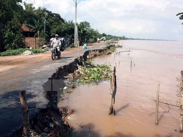 Sự kiện trong nước 21-27/11: Dừng xây dự án điện hạt nhân Ninh Thuận ảnh 9